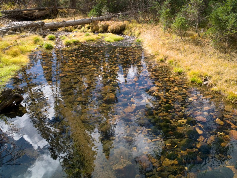 Plans for 264-foot dam above Little Snake River spur conflict