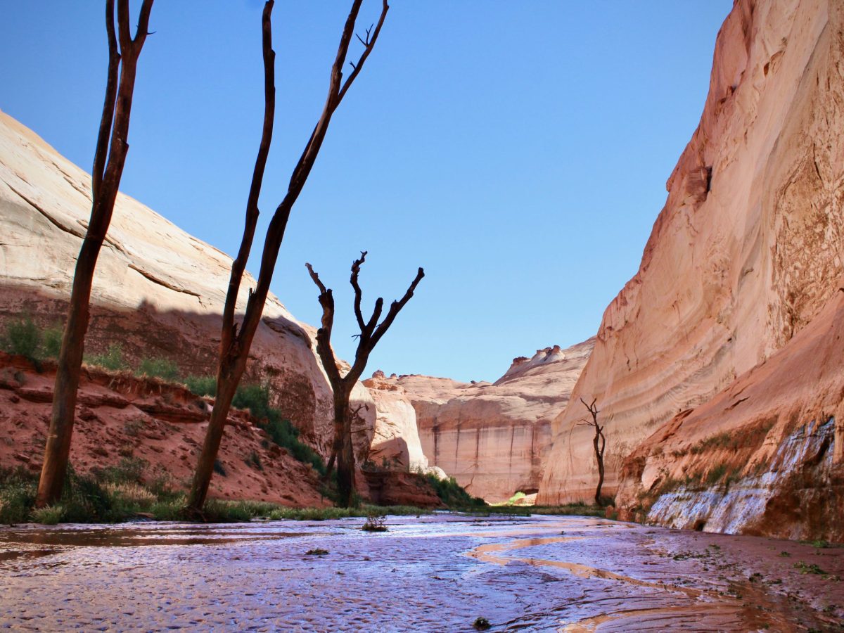 Colorado River crisis taps hard questions
