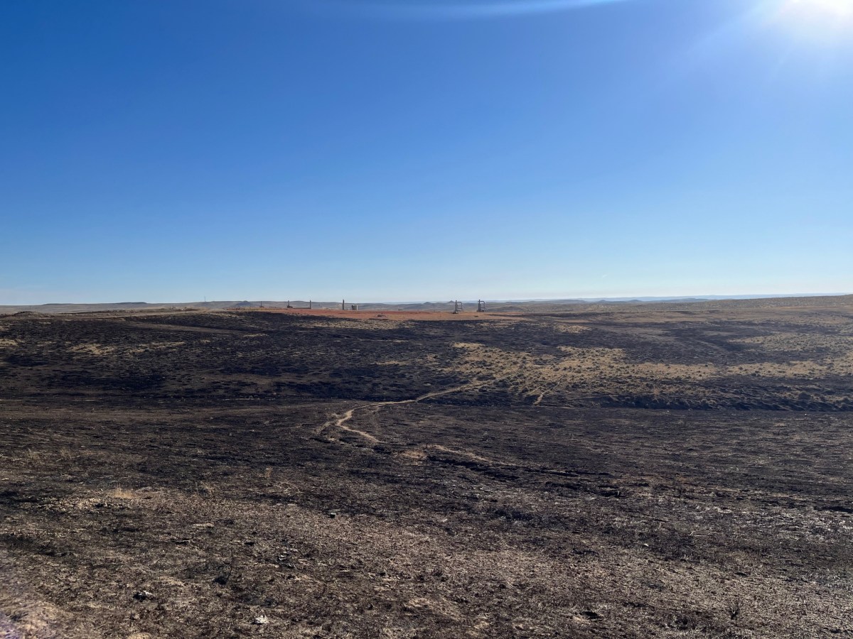 Lawmakers fund Wyoming’s wildfire recovery work via grants and loans