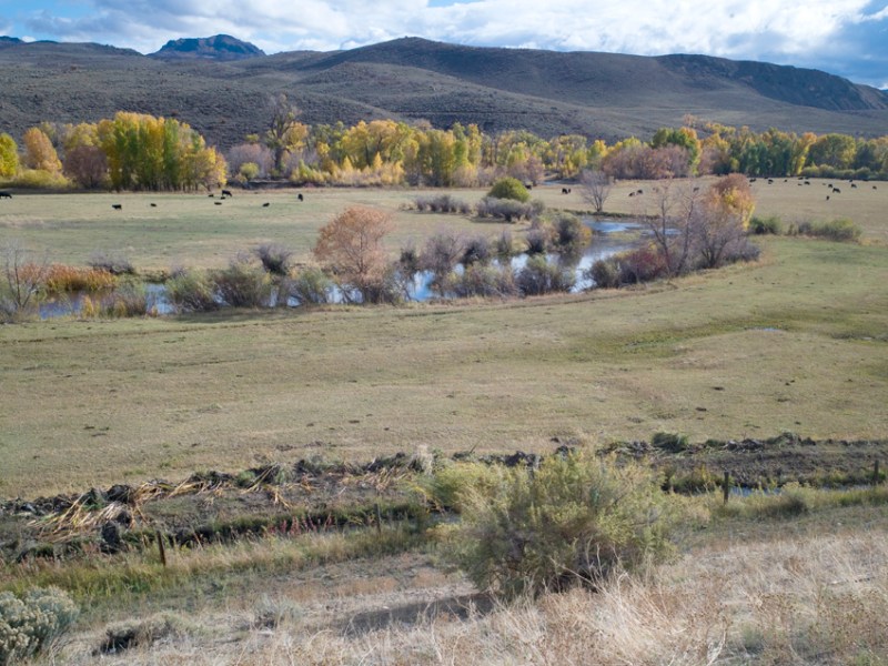 West Fork Dam size in flux as feds reconsider Wyoming plan