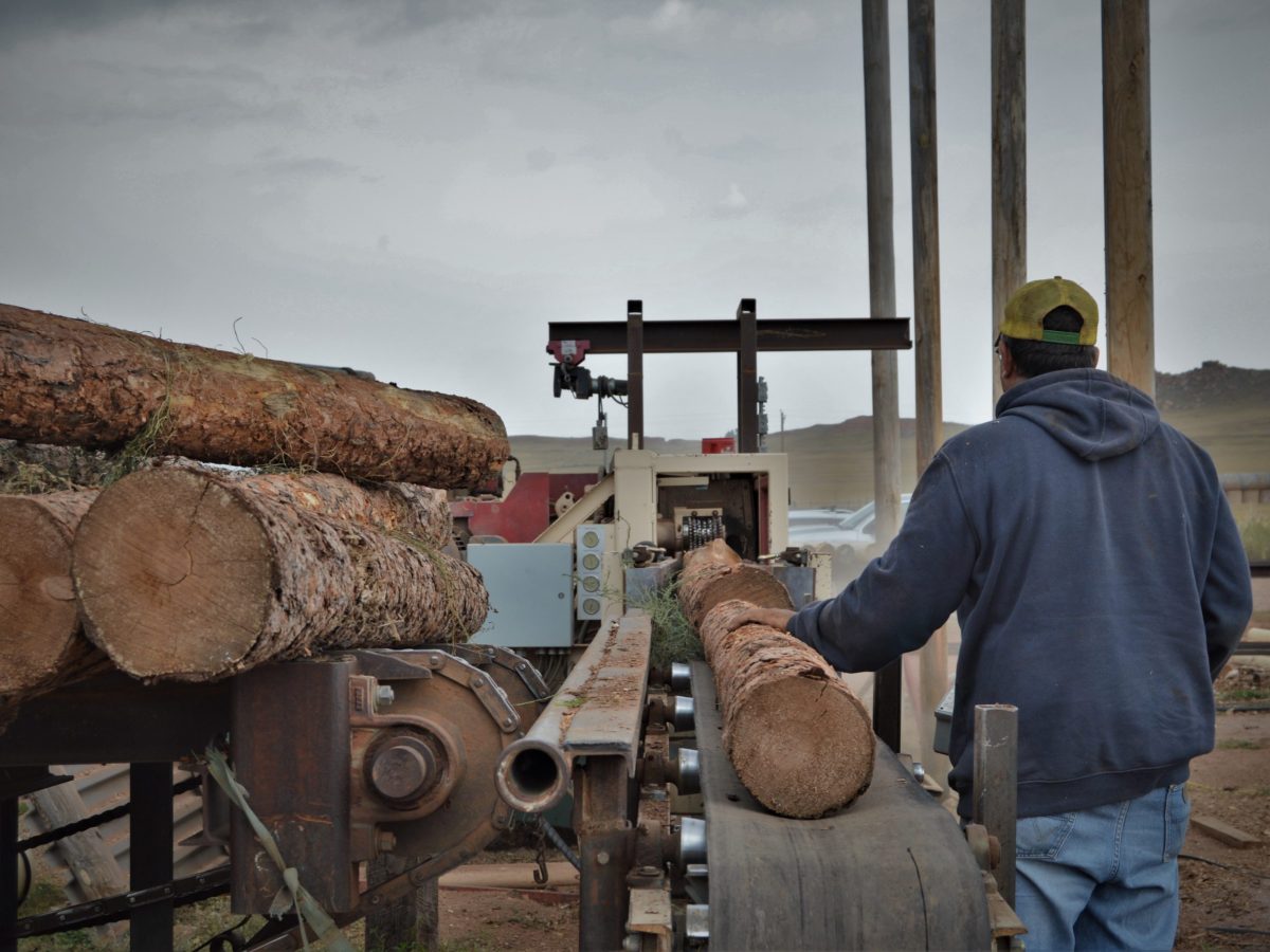 Lawmakers, loggers long for Trump-driven revival of Wyoming’s dying timber industry