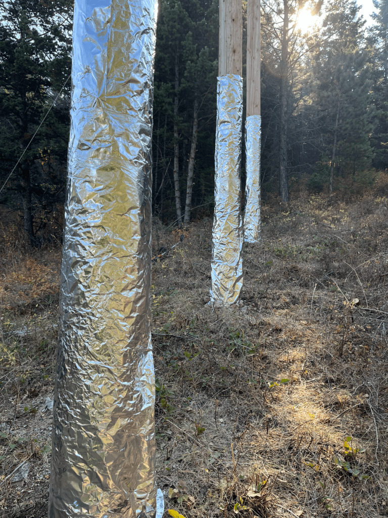 Poles wrapped in what appears to be tin foil